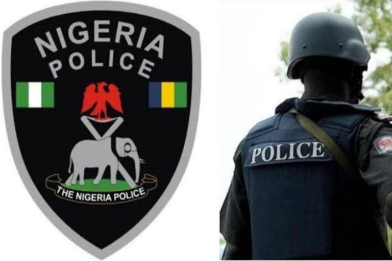 Nigeria Police 3